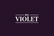 my violet - Inicio